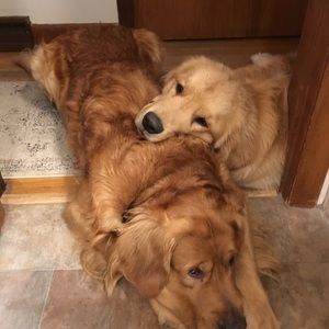 Meet your Posher, Gail